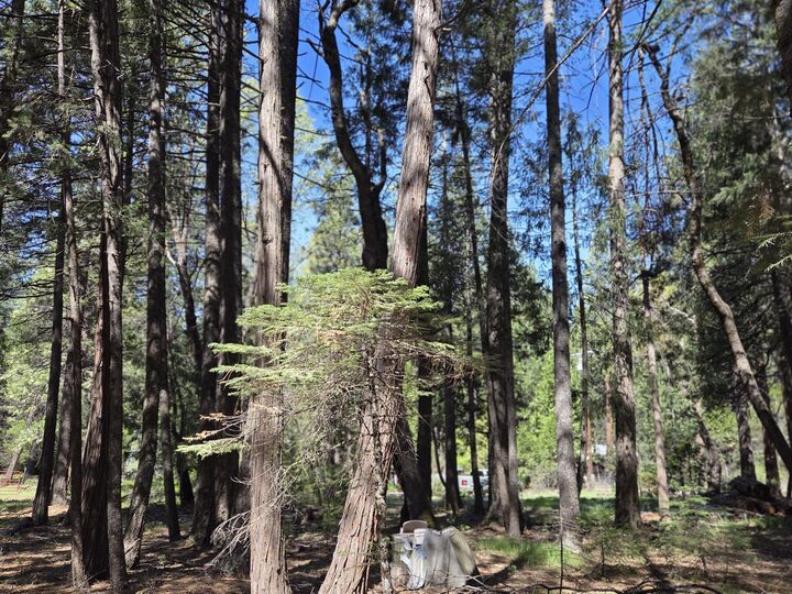 Property Photo:  Lot 16 Arbor Lane  CA 96088 