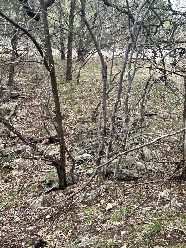 Property Photo: 21502 Cardinal Avenue TX 78645
