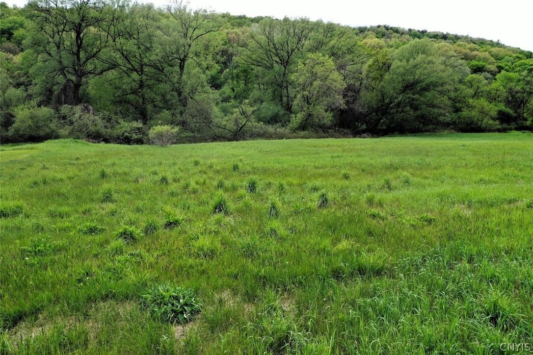 Property Photo:  N Main Extension  NY 14843 