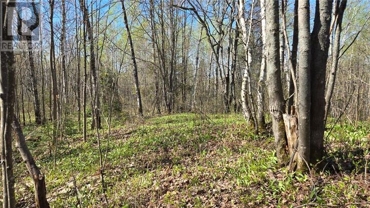 Lot 6 Con 3 Rabbit Trail Road — photo 1