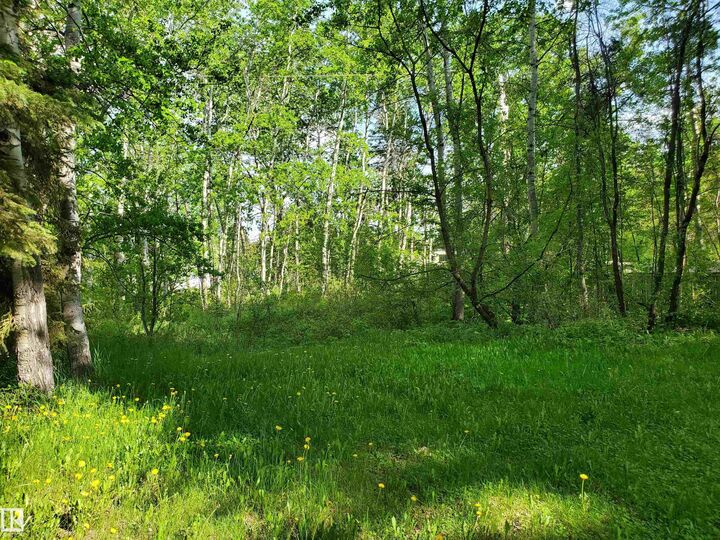 Property Photo: 516 5 Norris Beach Pigeon Lake Street AB T0C 2V0