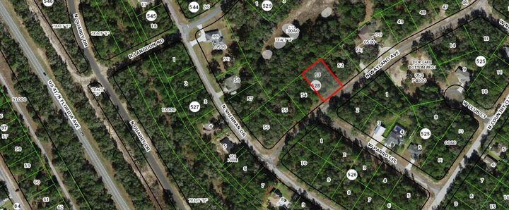 Property Photo:  9454 N Wayland Avenue  FL 34434 