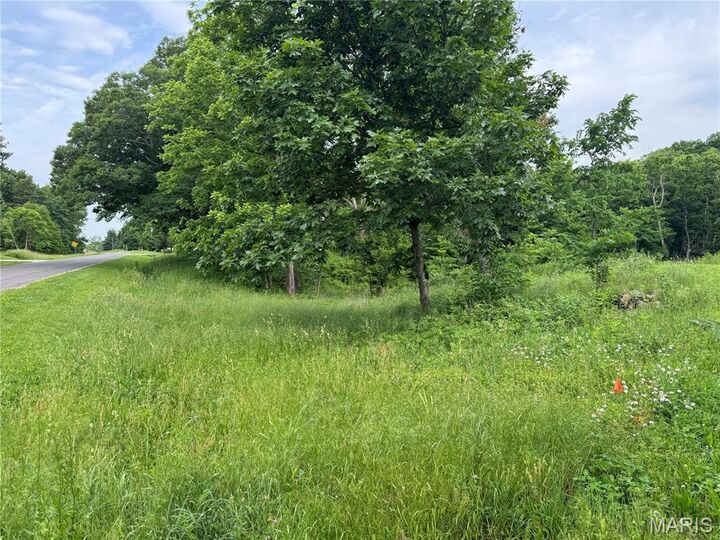 Property Photo:  Tbd Panama Avenue  IL 62077 
