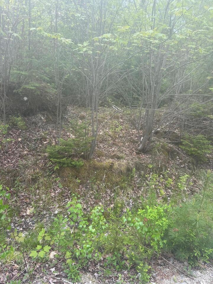 Property Photo: Lot 2 Morse District Road Road N ME 04680