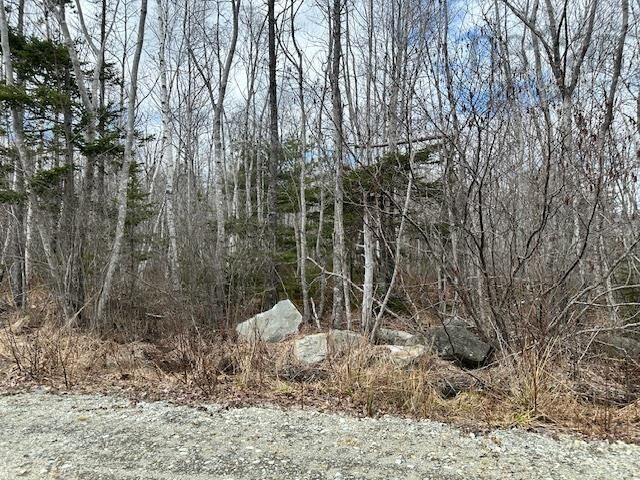 Property Photo:  Lot 16 Old Port Mouton Road  NS B0T 1K0 