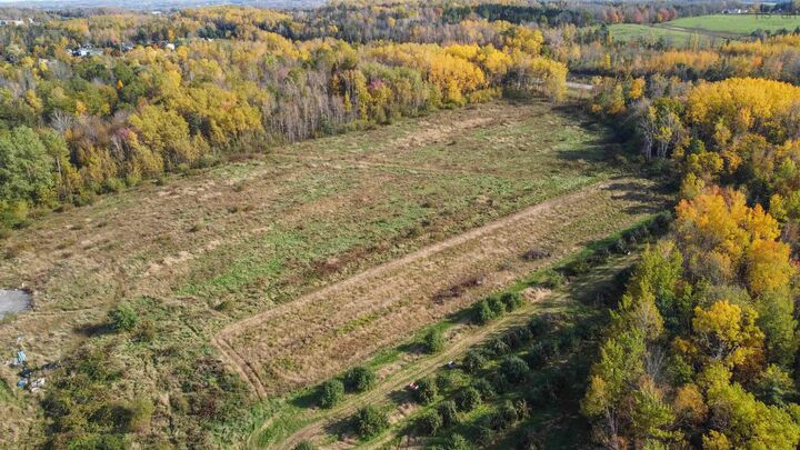 Property Photo:  Lot No 101 Highway  NS B4P 2R2 