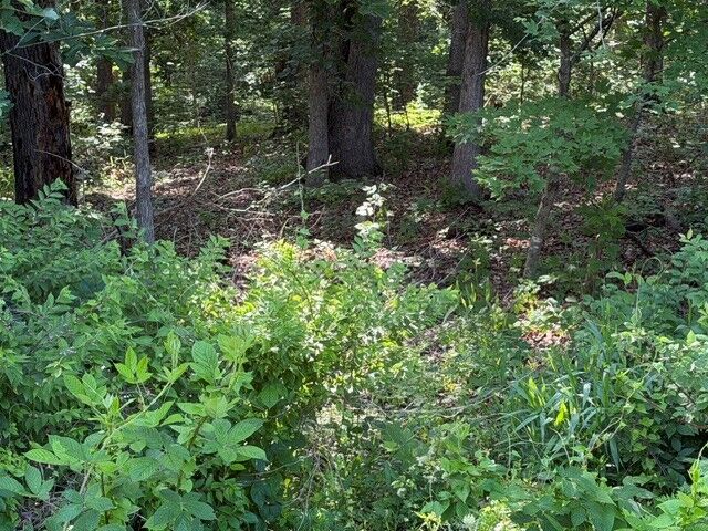 Property Photo:  Tbd Drayton Circle  AR 72715 