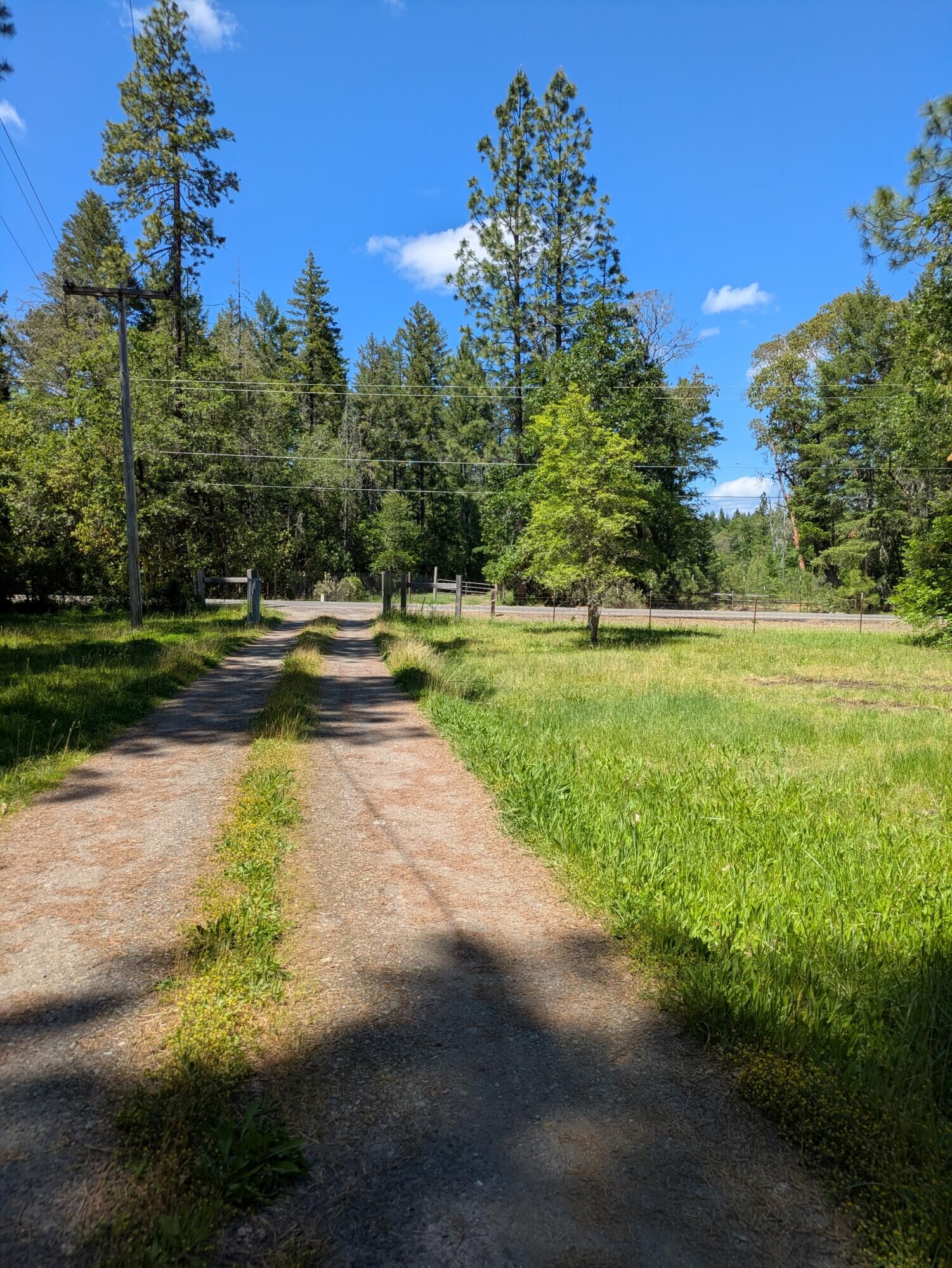 Property Photo:  575 Kirkham Road  OR 97523 