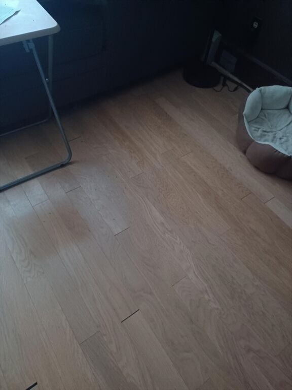 Property Photo:  855 Saratoga St  MA 02128 