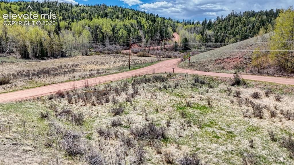 Property Photo:  2031 Gold King Drive  CO 80813 