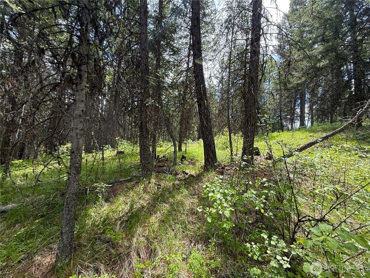 Property Photo:  0  Knob Hill Road E  WA 99166 