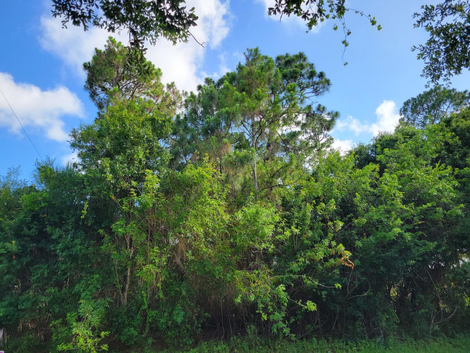 Property Photo:  7301 Winter Garden Parkway  FL 34951 