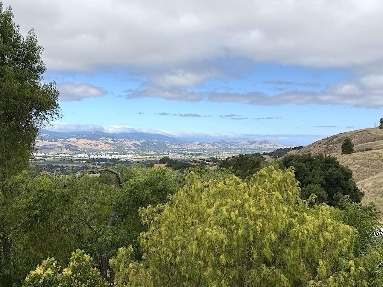 Property Photo:  3175 Oak Leaf Court  CA 95037 