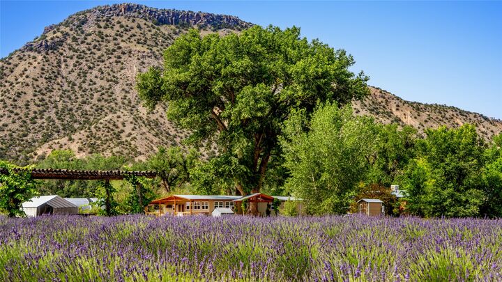 Property Photo:  Purple Adobe Lavender Far 25 Private Drive  1622  NM 87510 