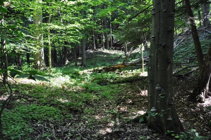 Property Photo: Lot 21 Bayshore Road ON N0H 1B0