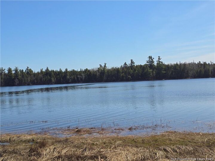 Property Photo:  Acreage North Black River Road  NB E1N 5T3 