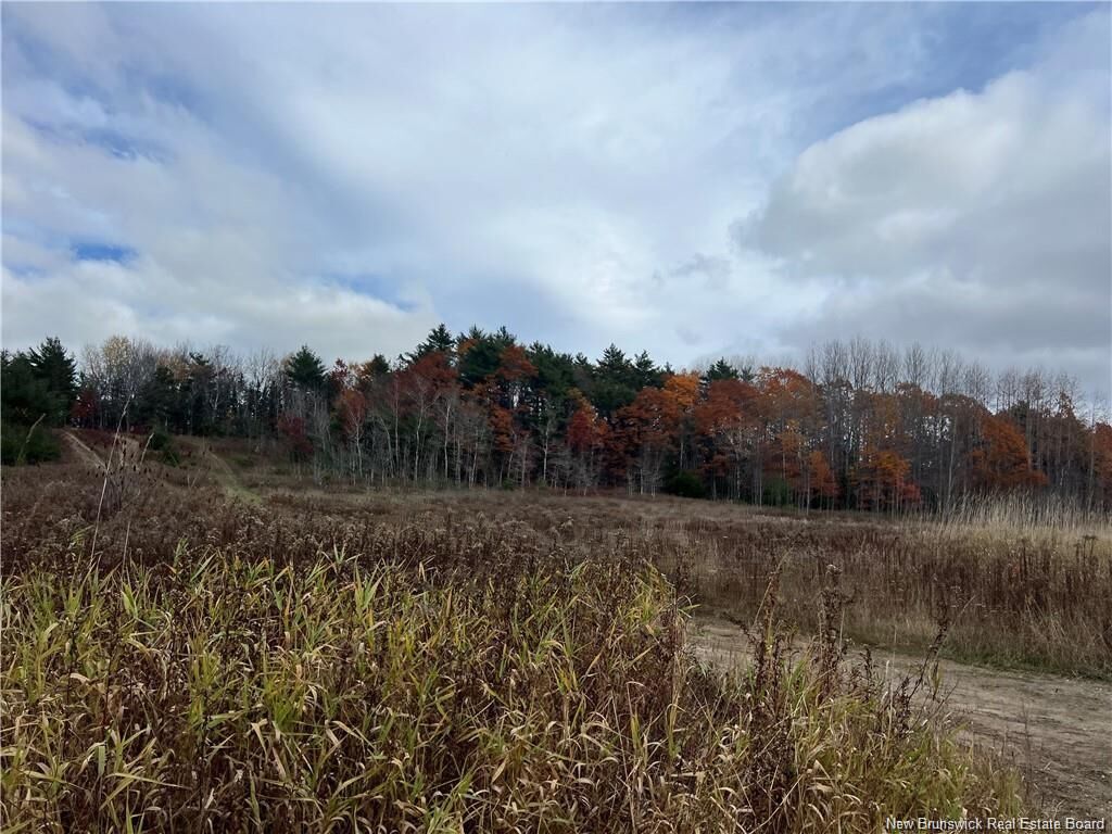 Property Photo:  1 Hall Road  NB E3L 5V8 