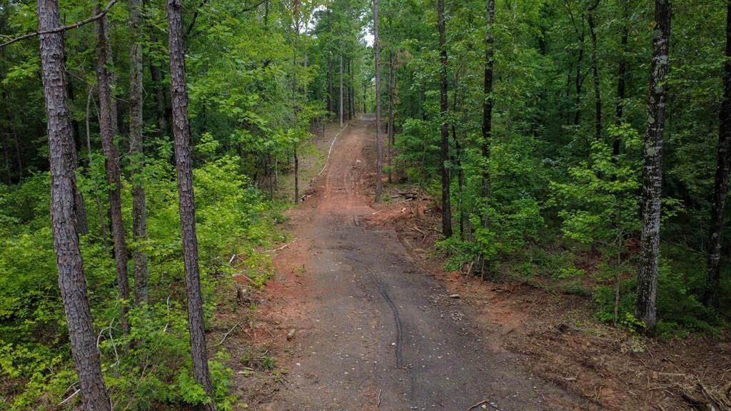 Property Photo:  364 Pitts Drive  GA 31808 