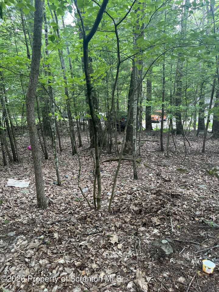 Property Photo:  Glowatch Lane  PA 18657 