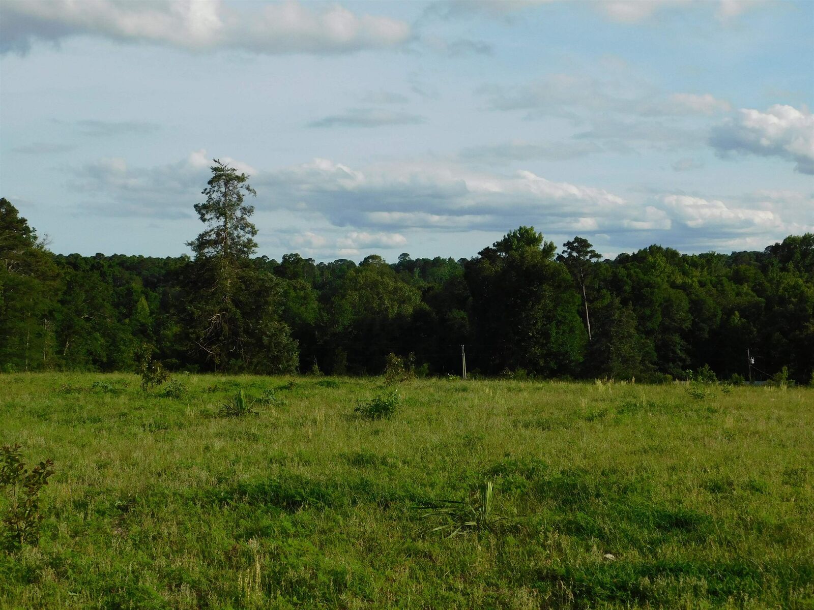 Property Photo:  Tbd Groundhog Rd  TX 75647 