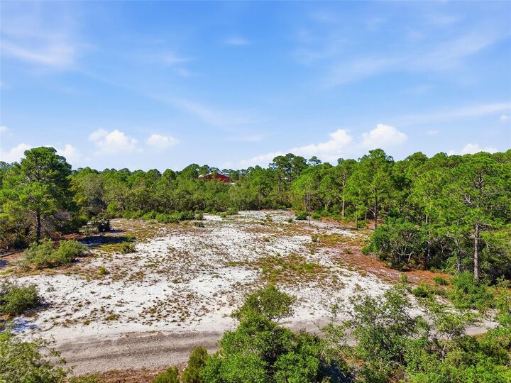 Property Photo: Tbd State Road 24 FL 32625