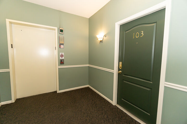 Property Photo:  1291 W Lake Street 103  IL 60101 