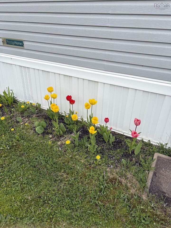 Property Photo: 10 Springvale Drive B2g 2V9 NS B2G 2V9
