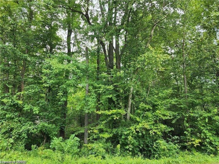 Property Photo:  Pt Lot 20 7 Concession  ON N3Y 4K1 