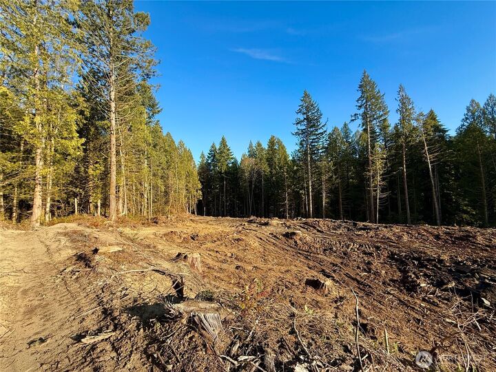 Property Photo:  100 E Lakewood Drive  WA 98528 