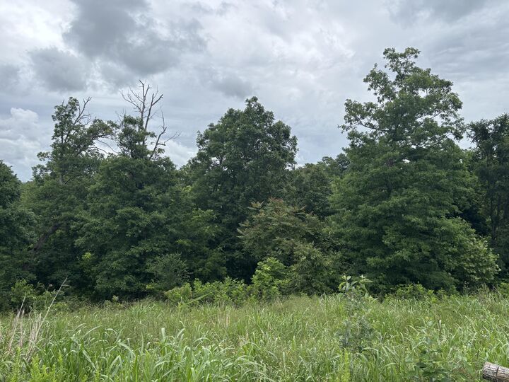 Property Photo: 8 Logan Lane MO 65745