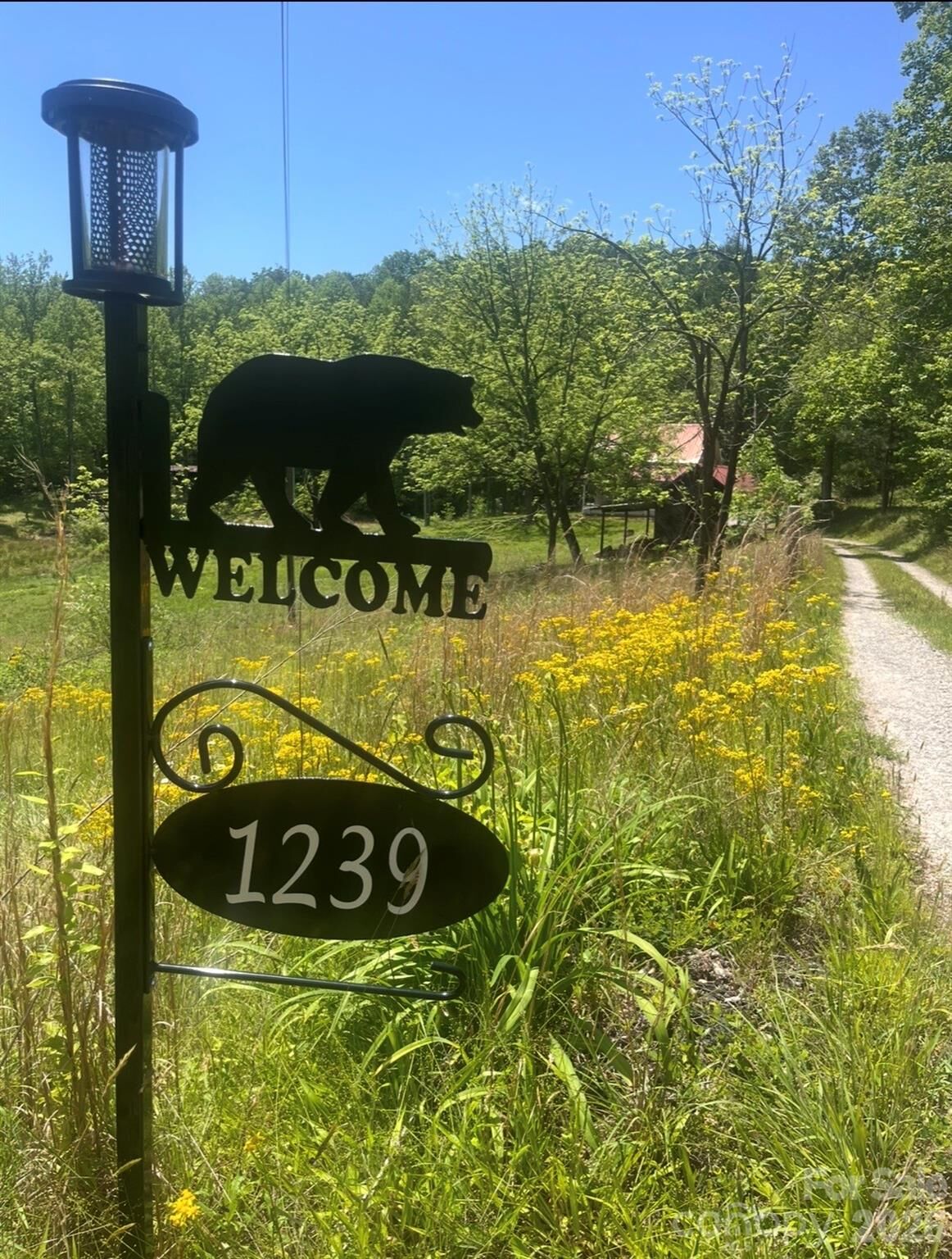 Property Photo:  1239 W McGuinn Road  NC 28756 