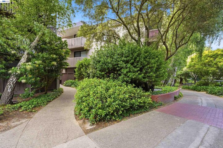 Property Photo:  8246 Shelter Creek Ln 8246  CA 94066 