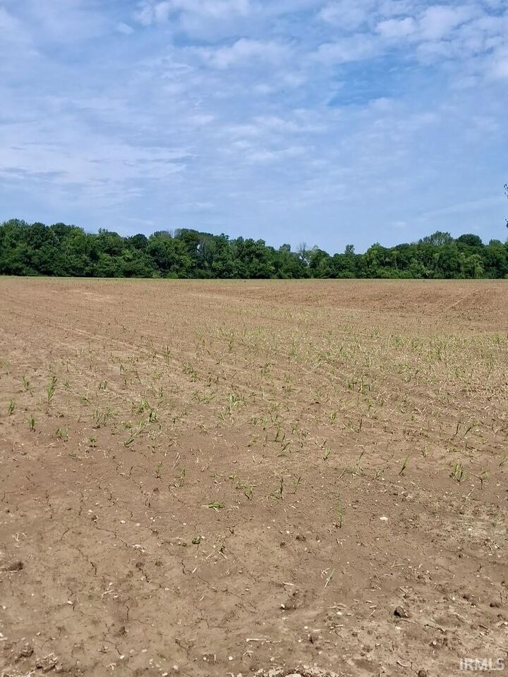 Property Photo: Tract 1 Cr 800 W Road IN 47634