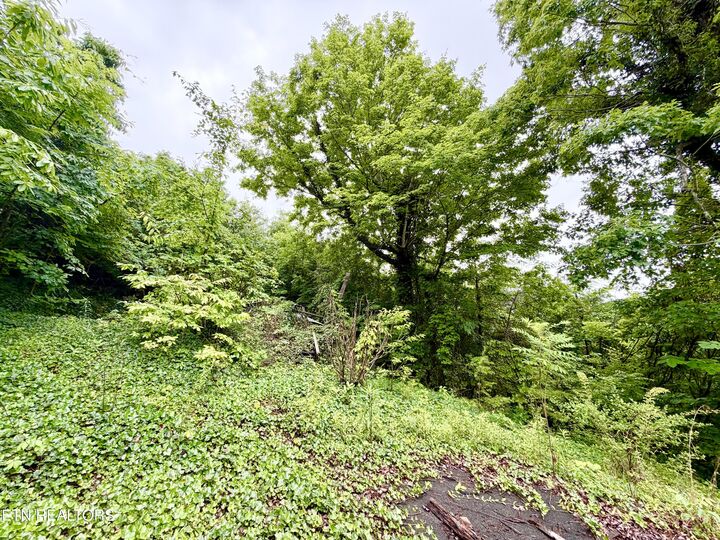 Property Photo:  0 Willowbrook Drive  TN 37385 