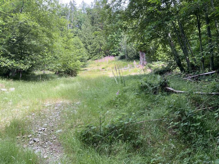 Property Photo:  Lot H Cotton Bay Road  BC V0N 1V0 