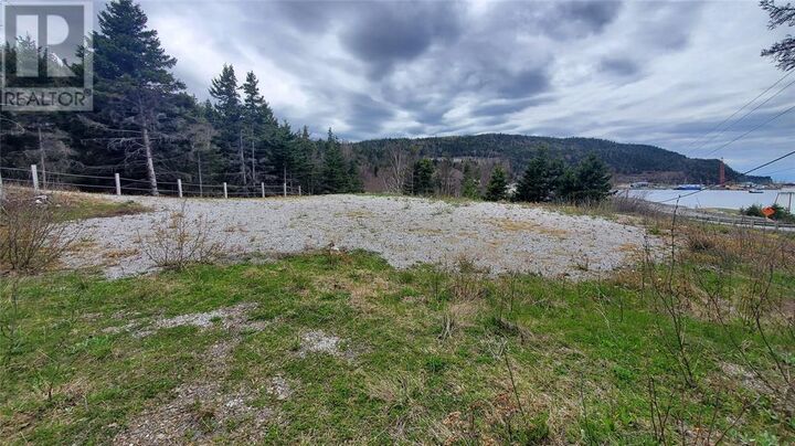 Property Photo:  955 Main Street  NL A0L 1A0 