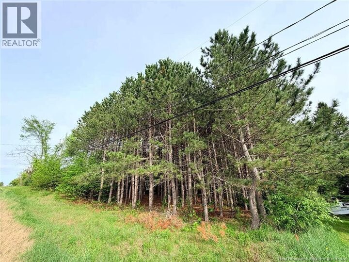 Property Photo:  Vacant Lot 74-1A Cape Breton Rd Road  NB E4P 1V8 