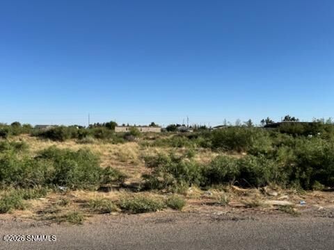 Property Photo: 905 Oasis Drive NM 88081