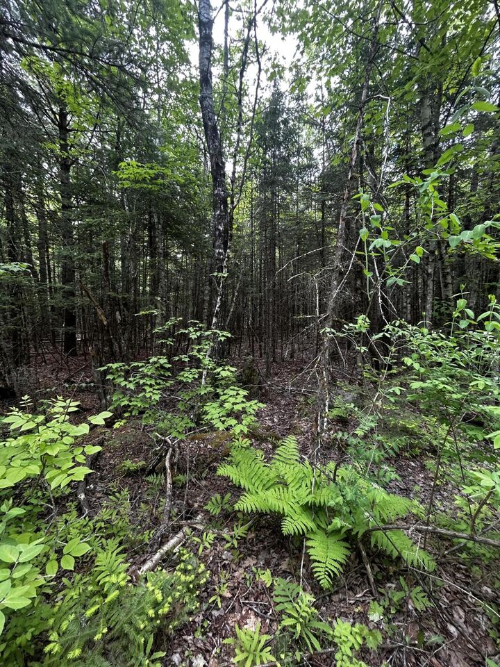 Property Photo:  Lot 9-2 Lilly Drive  ME 04953 