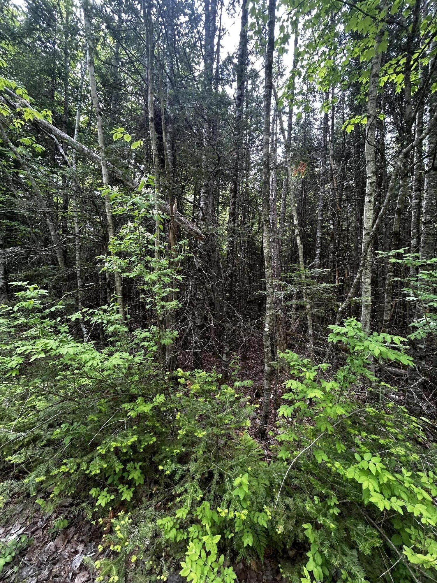 Property Photo:  Lot 9-3 Lilly Drive  ME 04953 