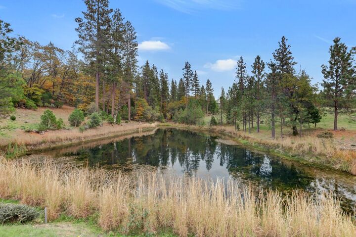 Property Photo:  11826 Logans Run Court  CA 95945 