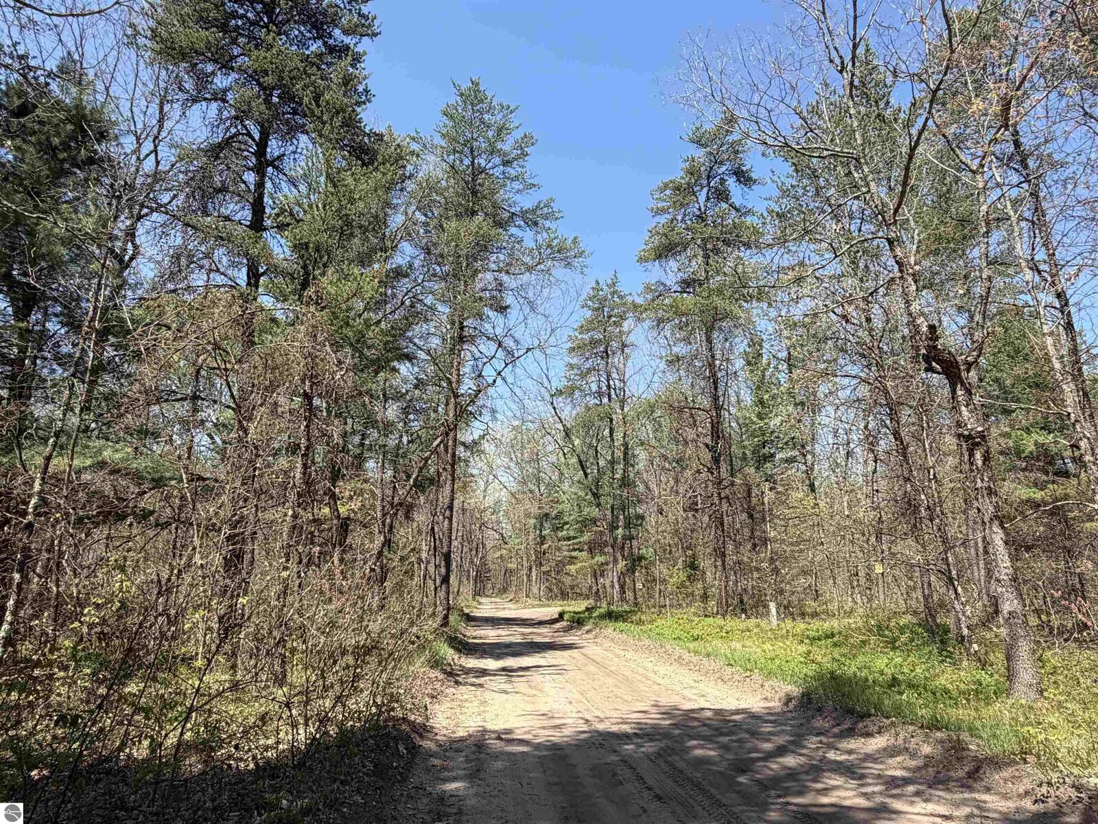 Property Photo: E Gladys Lane MI 49642