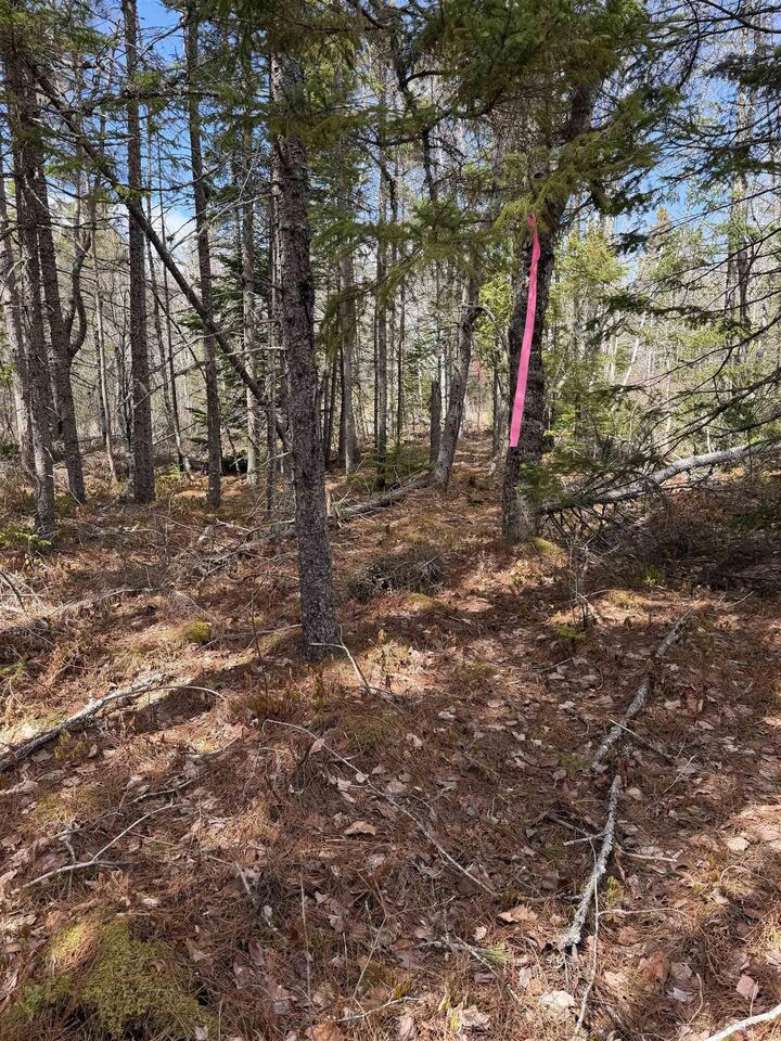 Property Photo:  Lot Cl1 Palmer Road  NS B0M 1Z0 