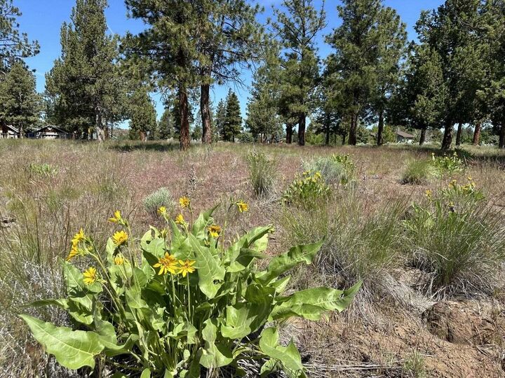 Property Photo:  17127 Mountain View Road  OR 97759 
