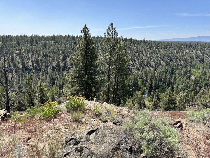 Property Photo: 17127 Mountain View Road OR 97759