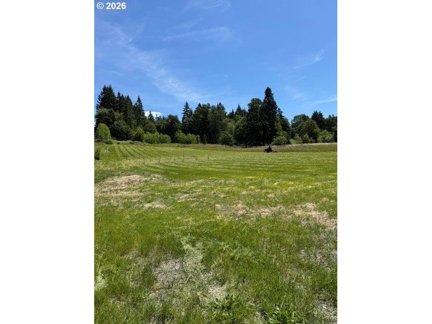 Property Photo:  3 NE 144th St  WA 98606 