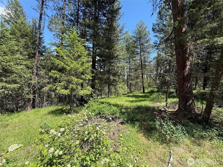 Property Photo:  21  Pine Grove Street  WA 99166 