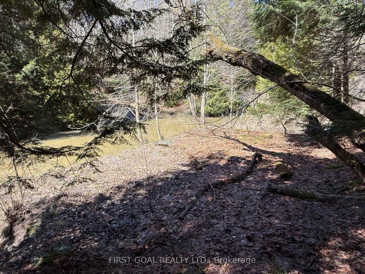 Property Photo:  96 Concession 4 E, Tint Concession E  ON L0L 2T0 