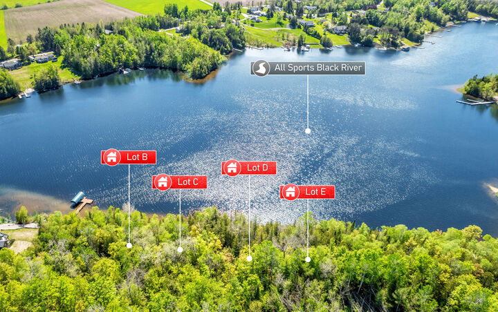 Property Photo:  V/L N Black River Road  MI 49721 
