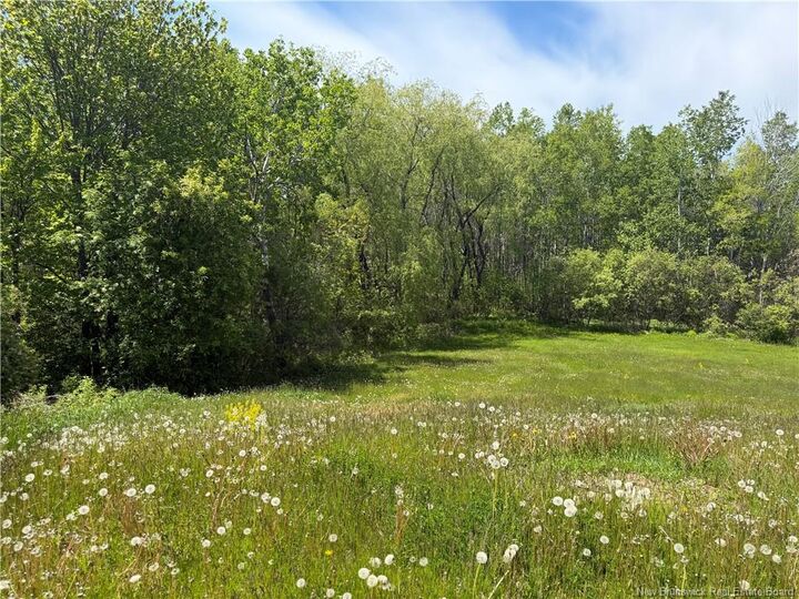 Property Photo:  Lot Mapleton Road  NB E1G 2K7 
